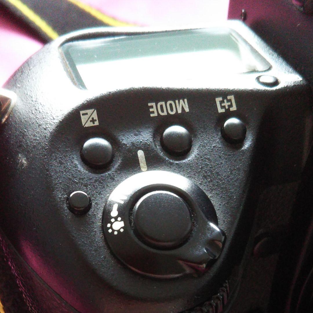 フィルムカメラ Nikon F5