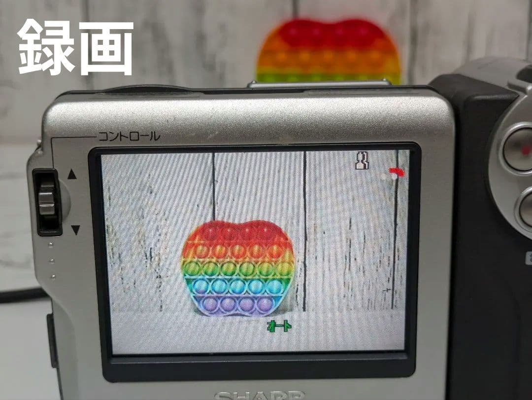 【豪華セット】SHARP　VL-DC5　MiniDV対応　タッチパネル