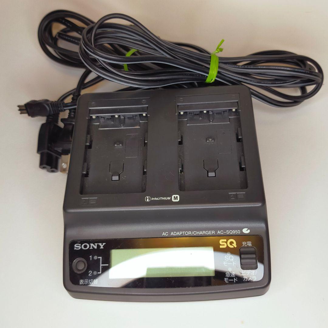 (栗拾い)SONY DCR·TRV30