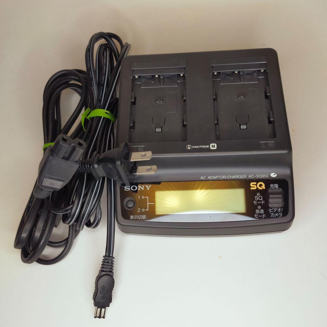 (栗拾い)SONY DCR·TRV30