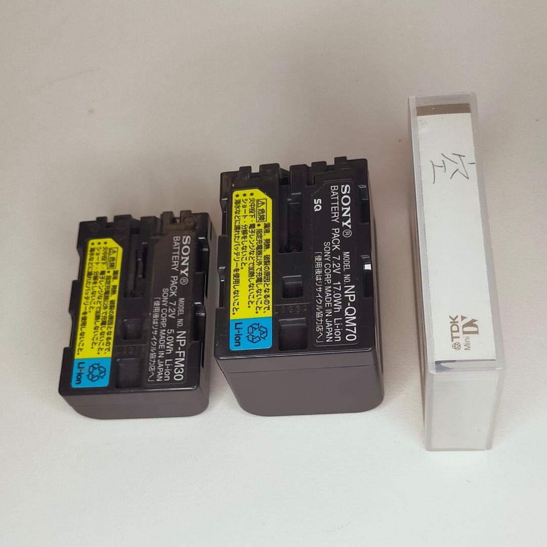 (栗拾い)SONY DCR·TRV30