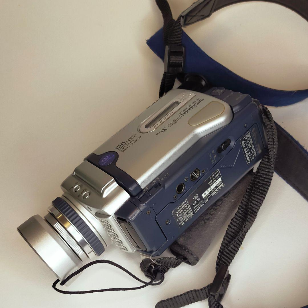 (栗拾い)SONY DCR·TRV30