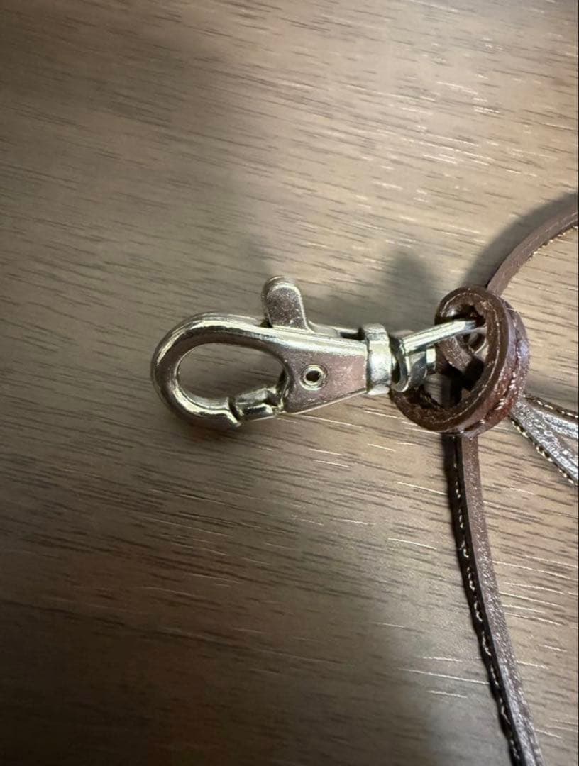 ワイルドスワンズ　タング　アイレット　チョコ　カラビナリングS