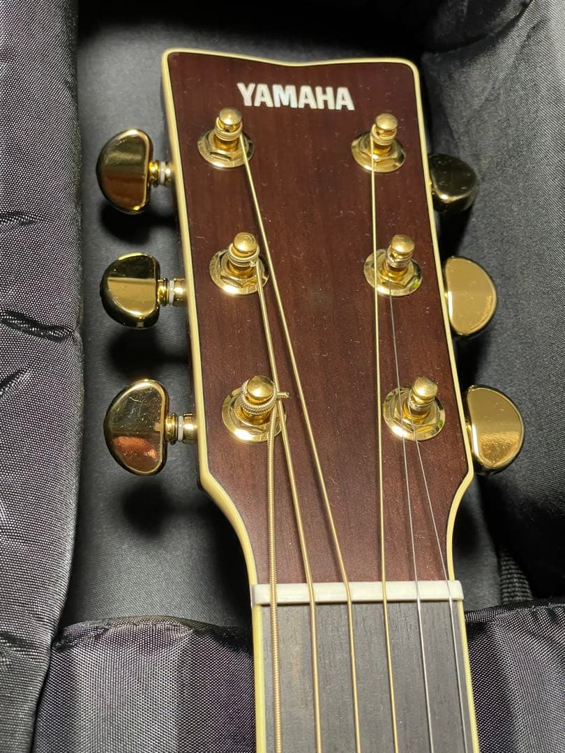 【極美品】Yamaha LL16 ARE 専用セミハードケース付き