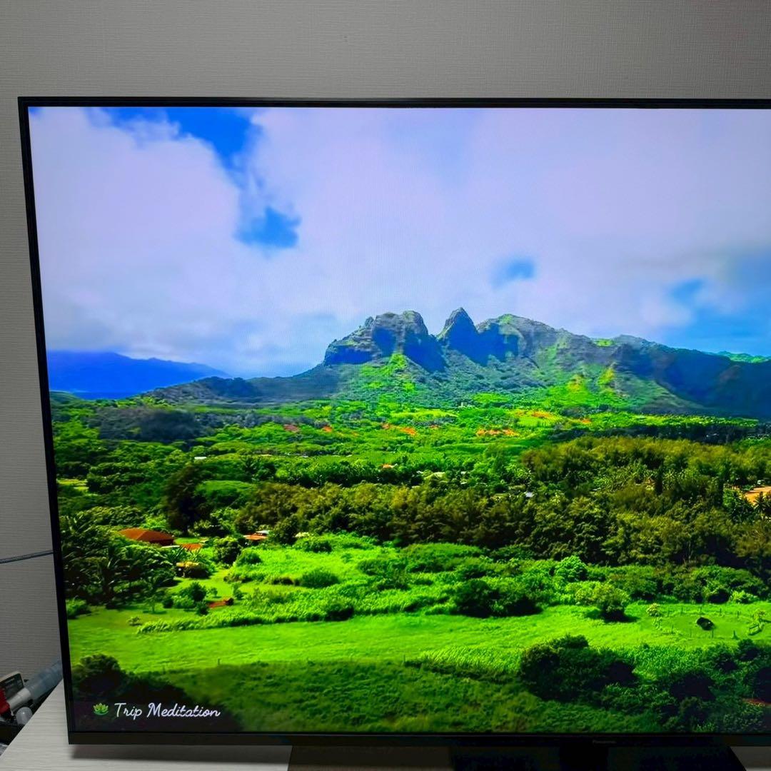 【極美品】Panasonic TH-65LX950　65インチ　65V型　テレビ