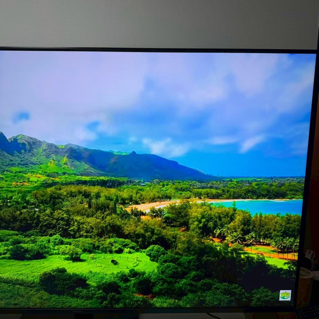 【極美品】Panasonic TH-65LX950　65インチ　65V型　テレビ