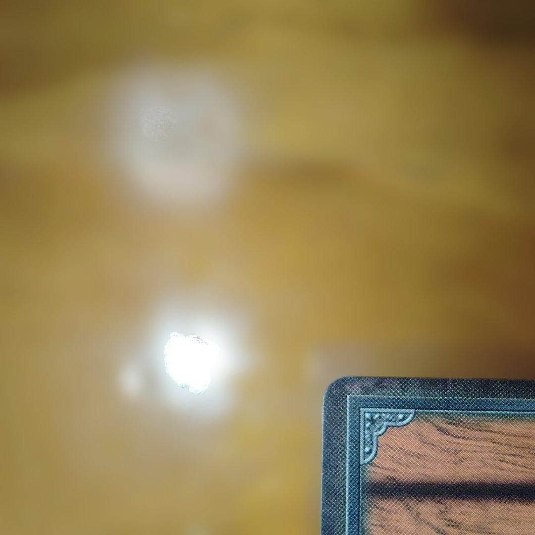 【希少】ワンピース カードダス プロモ　NJ-01 旅の相棒