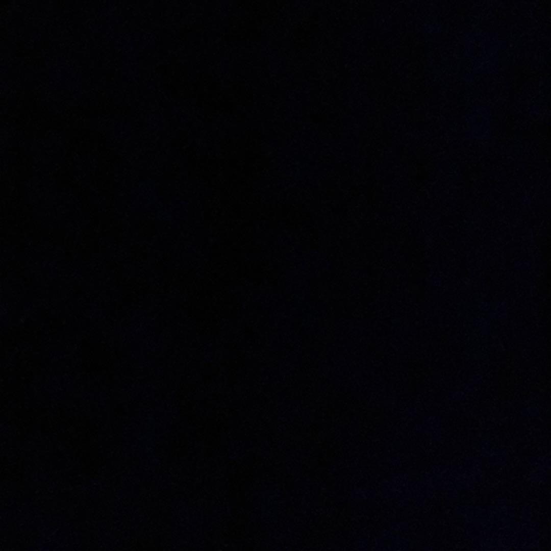 ピンズ・ピンバッジ・缶バッジ 1234