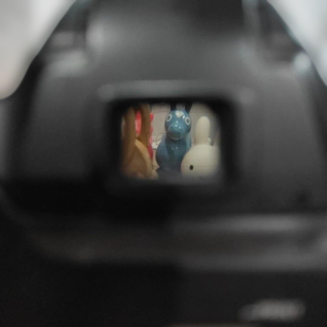 Nikon F70 + AF NIKKOR 35-80mm+赤外線リモコン