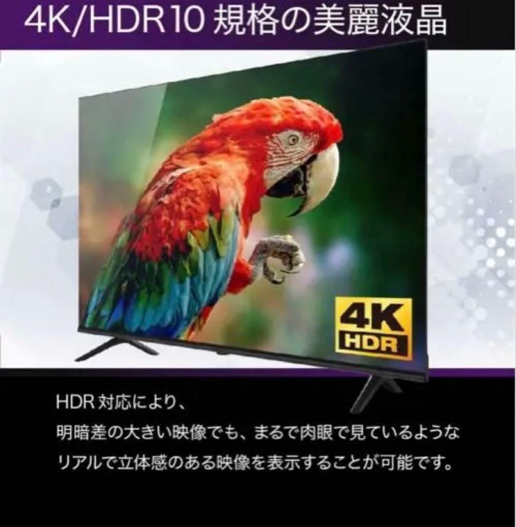Google TV 50インチ 本体