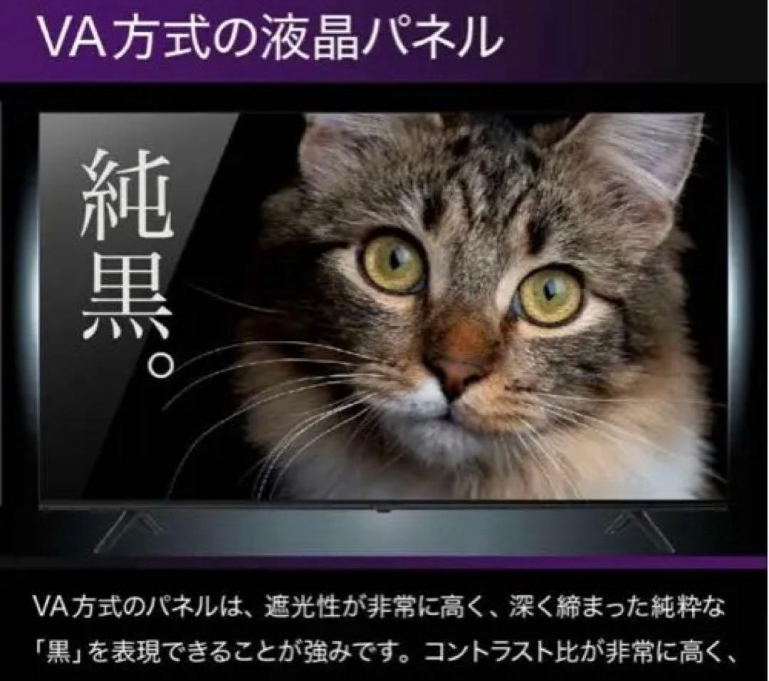 Google TV 50インチ 本体