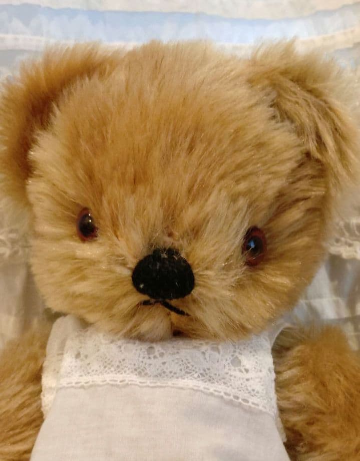 チャドバレーベア　27cm