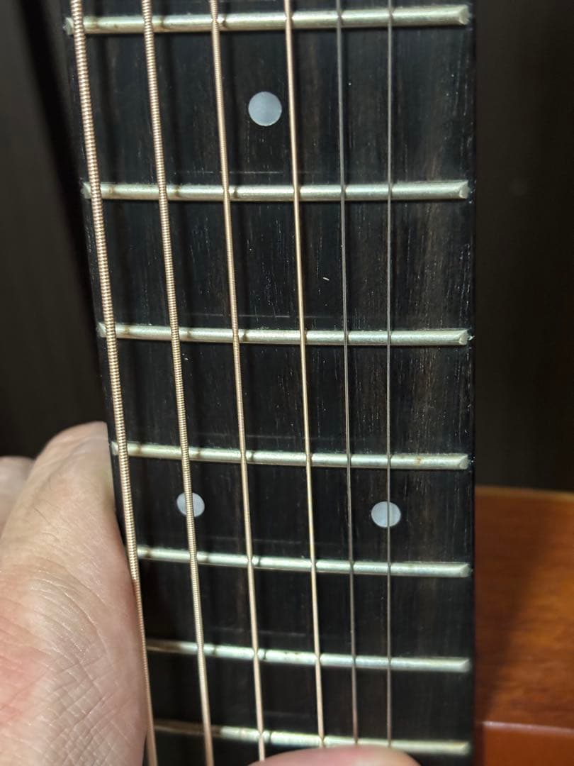 Taylor BT2E エレアコ