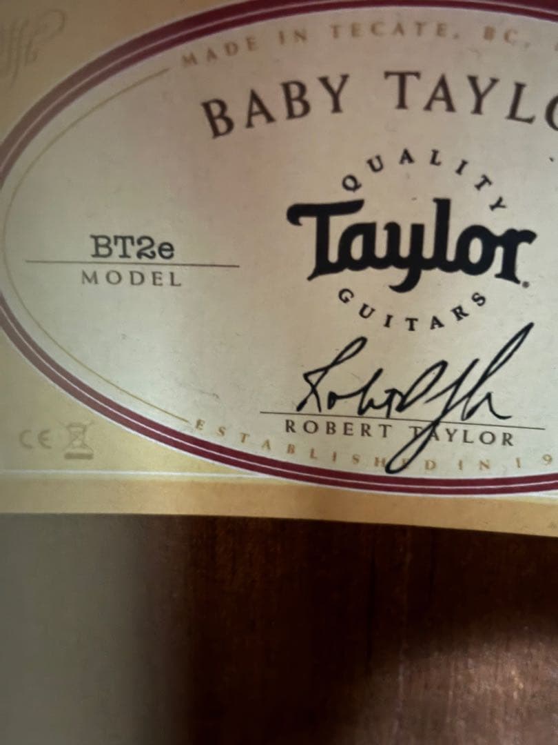 Taylor BT2E エレアコ