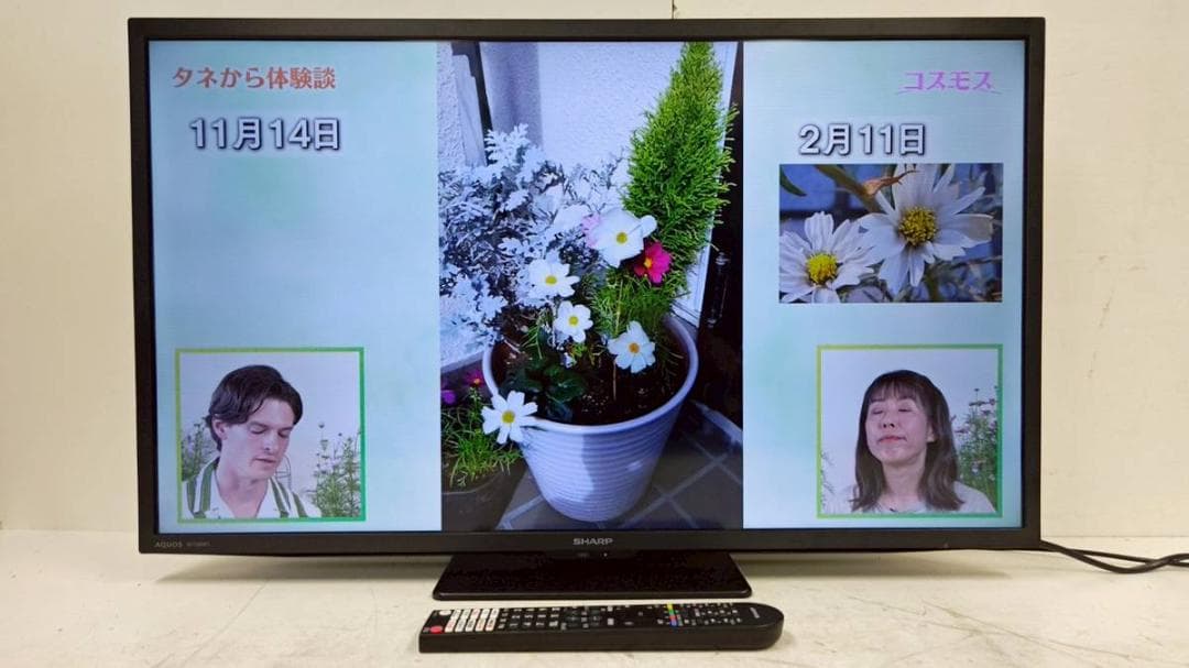 【完動品】SHARP シャープ 液晶テレビ 2T-C32GF1