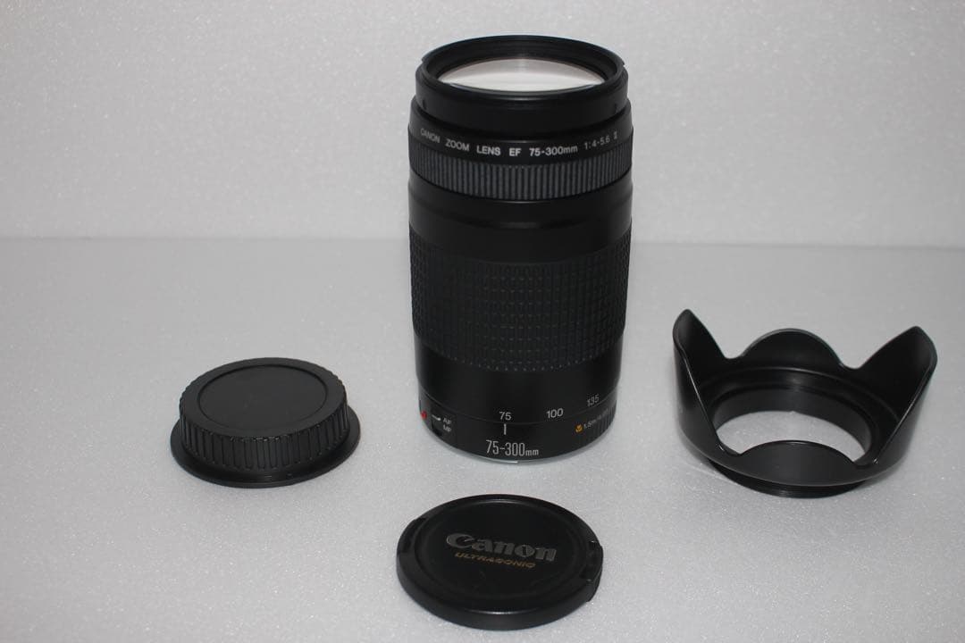 大望遠レンズ /Canon EF75-300 F4-5.6 II