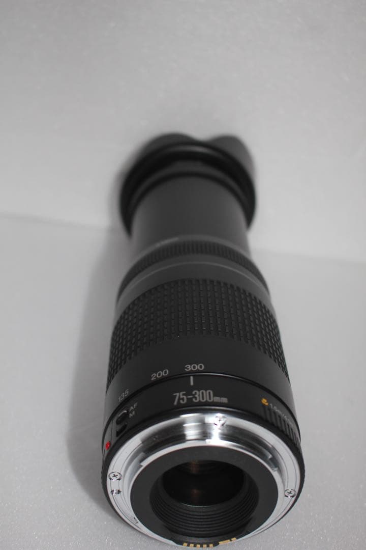 大望遠レンズ /Canon EF75-300 F4-5.6 II