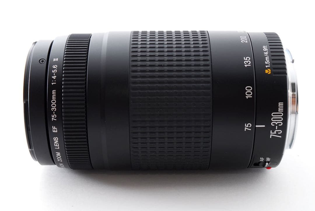 大望遠レンズ /Canon EF75-300 F4-5.6 II