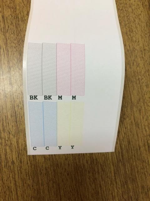 EPSON ColorWorks C4020G 業務用プリンター