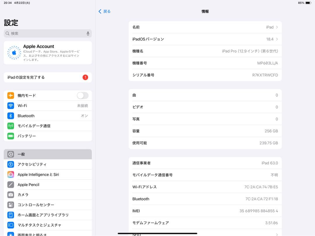 iPad Pro 12.9インチ　第6世代　SIMフリー