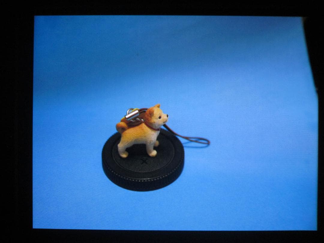 水さん Panasonic DMC-GX8 ミラーレス一眼 中古美品ボディ