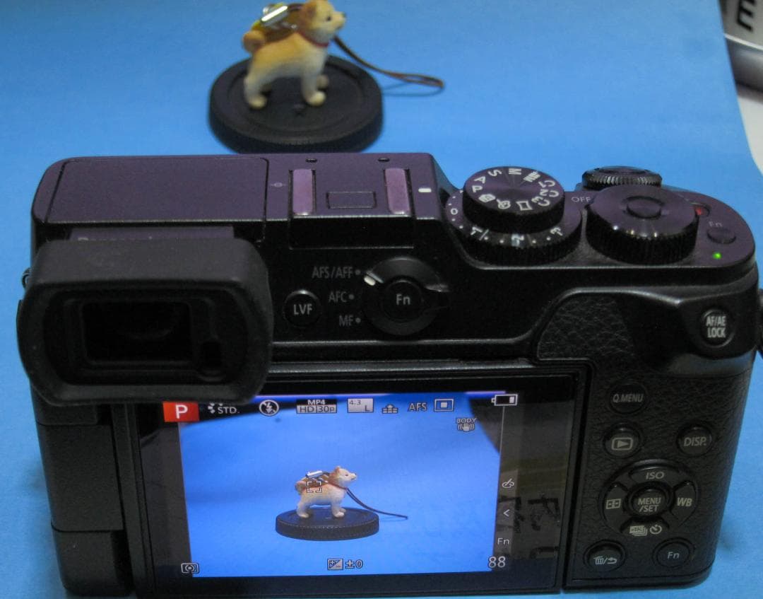 水さん Panasonic DMC-GX8 ミラーレス一眼 中古美品ボディ