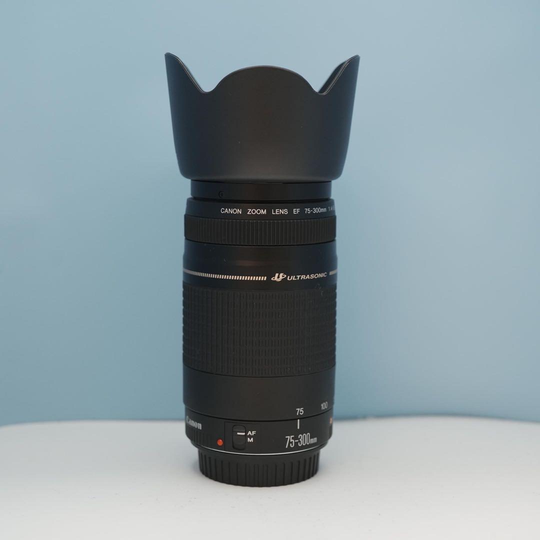Canon純正 75-300mm 望遠レンズ 美品 a3873