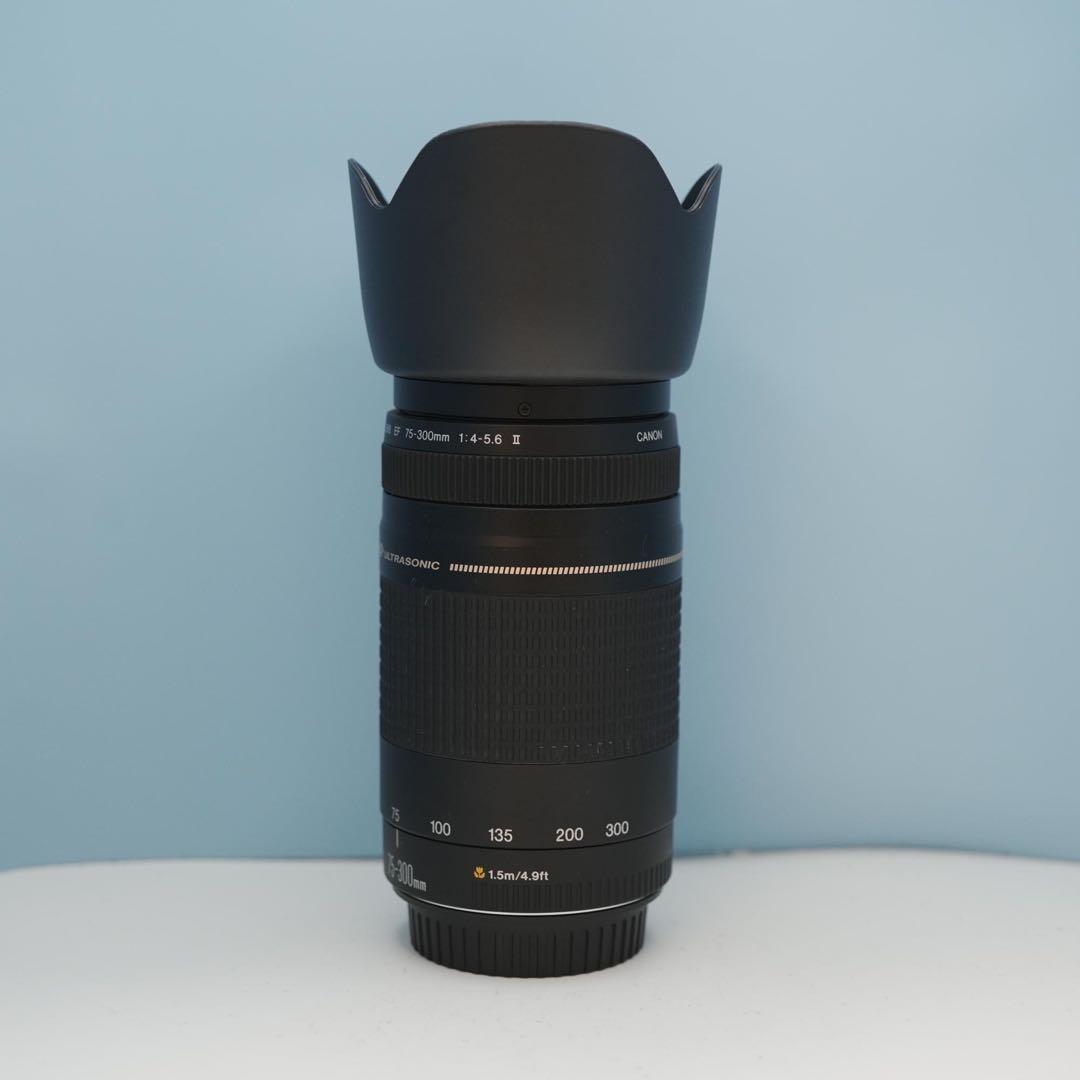 Canon純正 75-300mm 望遠レンズ 美品 a3873