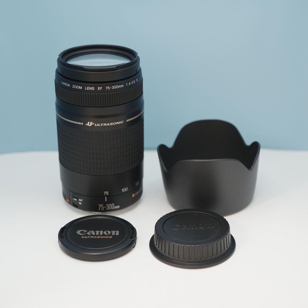 Canon純正 75-300mm 望遠レンズ 美品 a3873