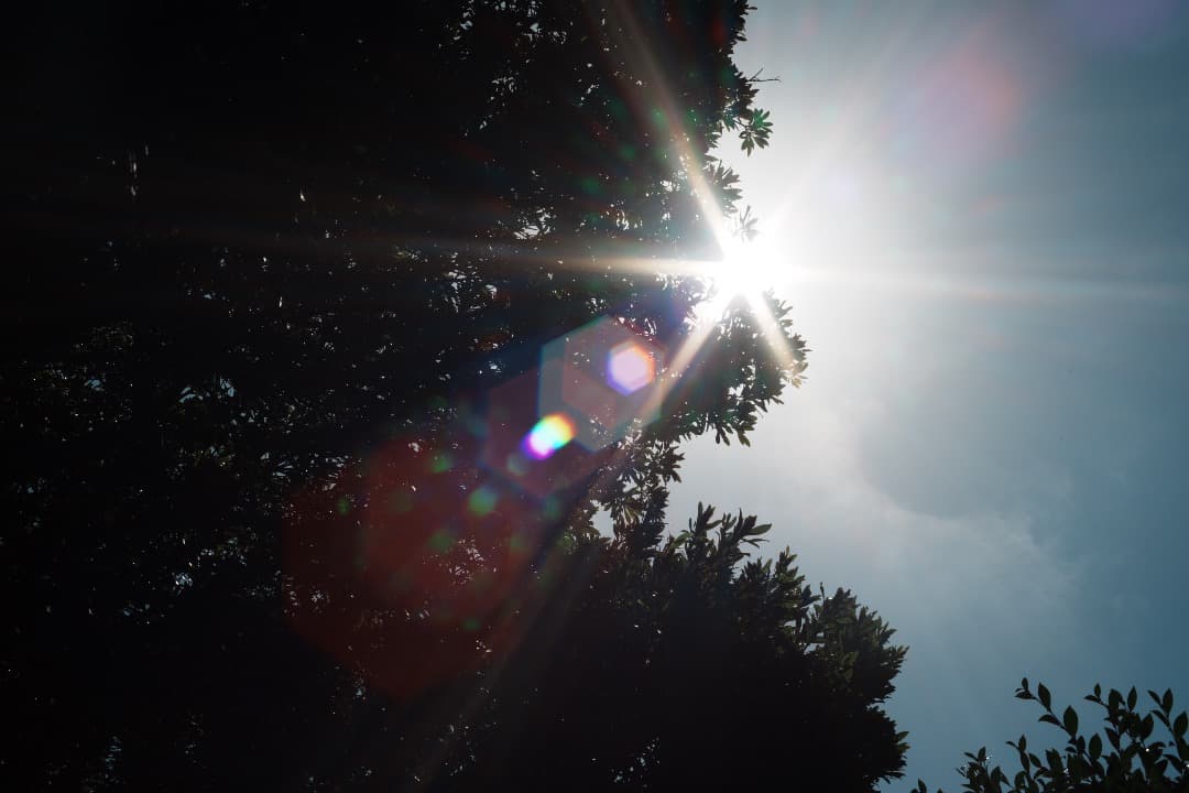 【ほぼライカ】Minolta MD ROKKOR 50mm F1.4 408