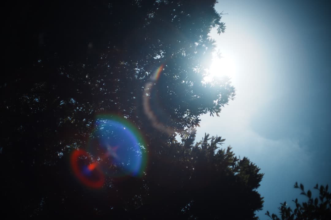 【ほぼライカ】Minolta MD ROKKOR 50mm F1.4 408