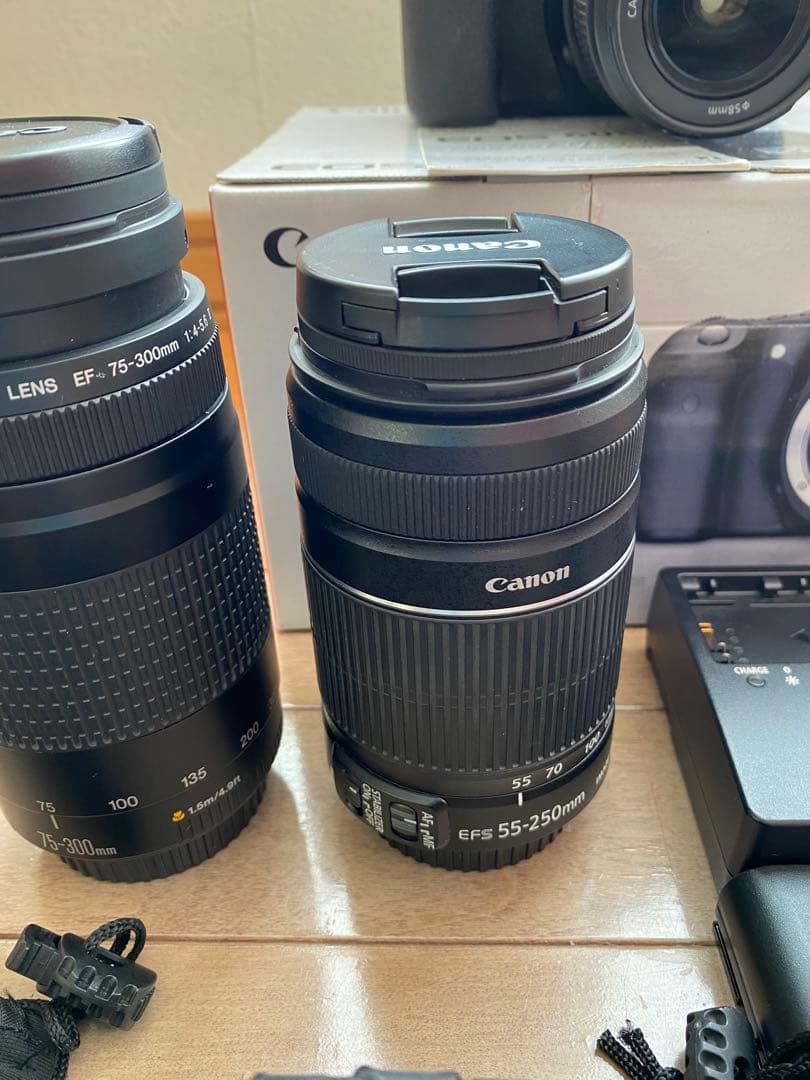 キャノン EOS 60D▪️望遠レンズ2本、標準レンズ1本　バッテリー2個付き