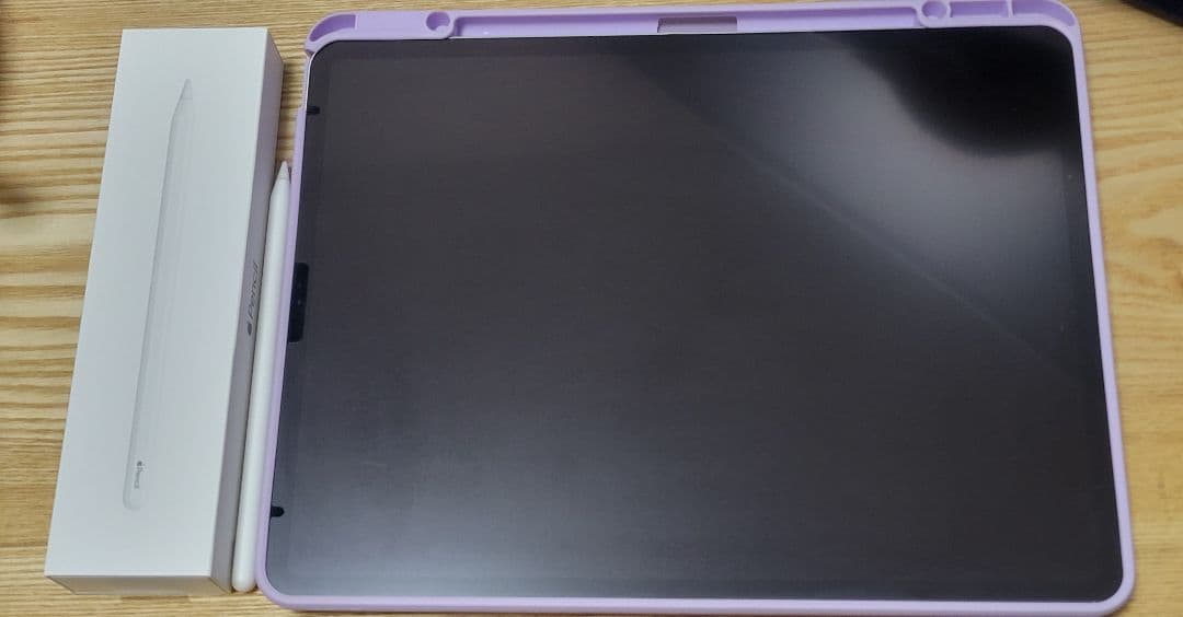 Apple iPad pro 12.9 第3世代 Apple Pencil付き