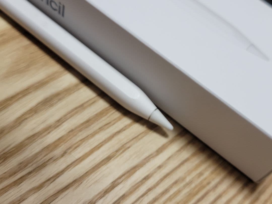 Apple iPad pro 12.9 第3世代 Apple Pencil付き