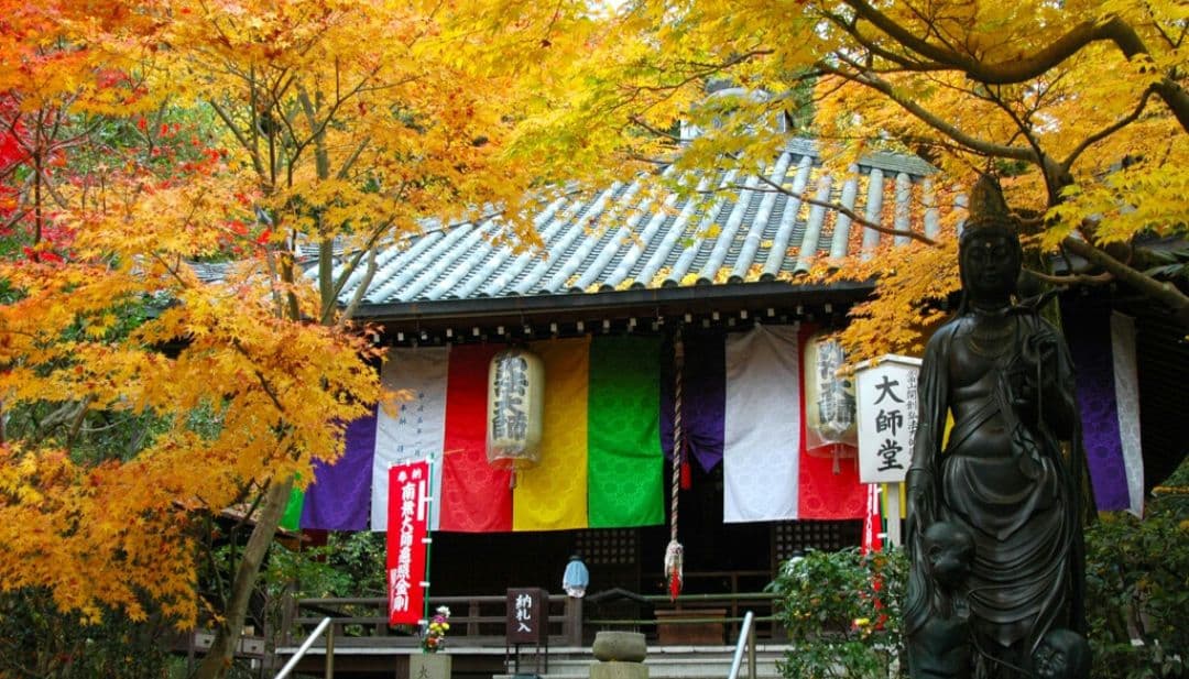 NIKON　D70　ダブルレンズ　初心者⚡️一眼レフ⚡️超望遠⚡️ニコン