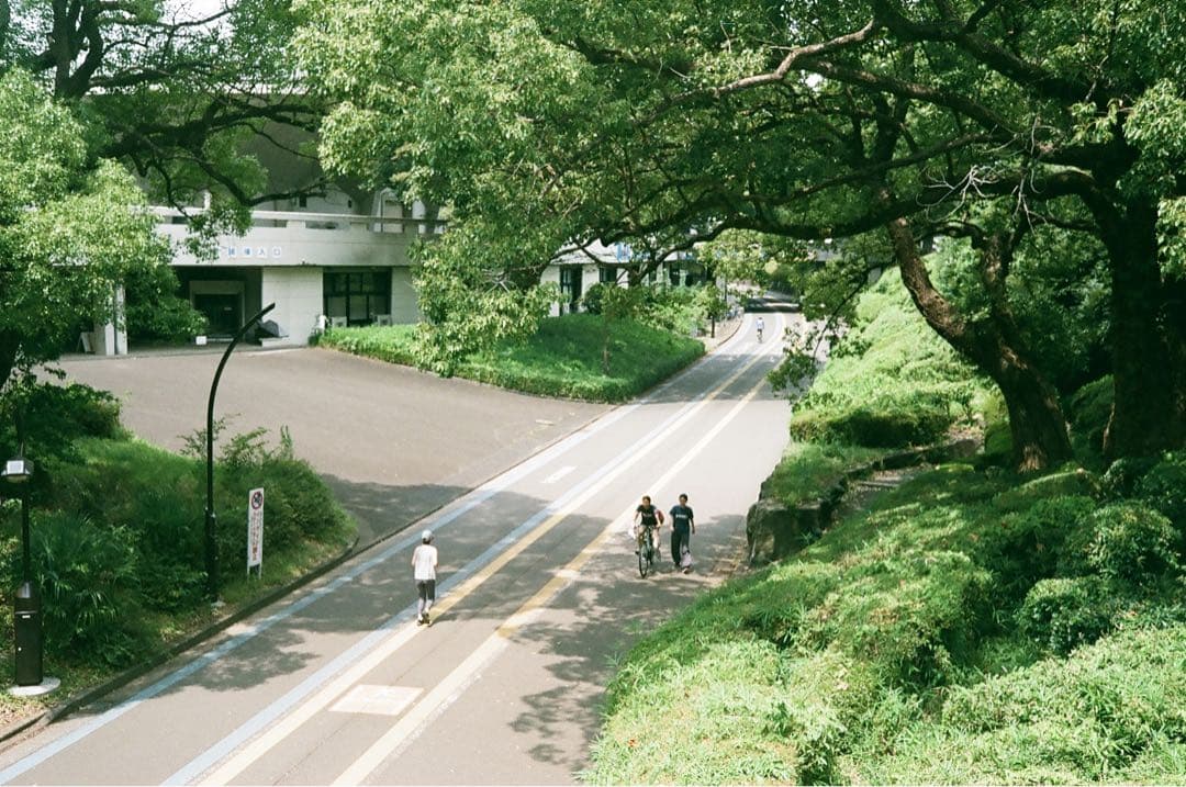 フィルムカメラ Rollei 35S