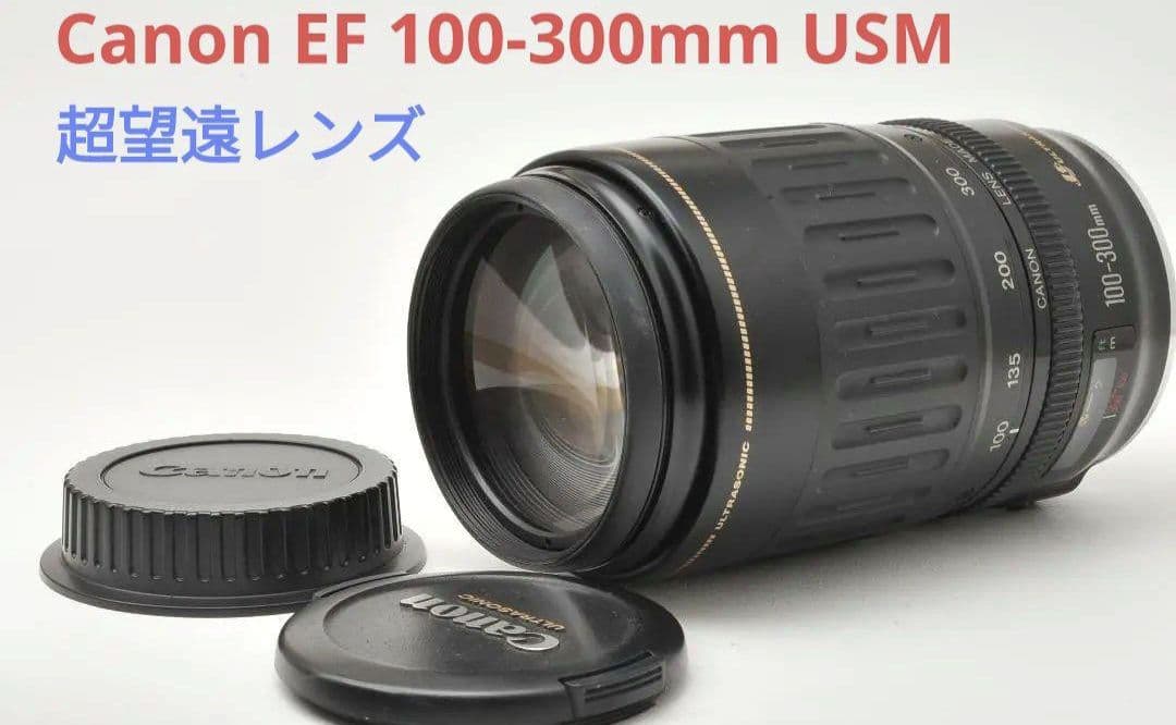 5月25日限定価格♪Canon EF 100-300mm USM