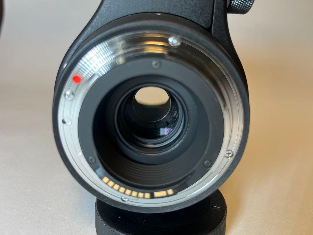 レンズ(ズーム) SIGMA150-600mmF5-6.3DGOSHSM Contemporary