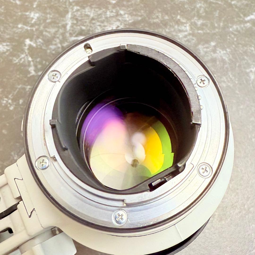 レンズ(ズーム) Nikon AF-S VR-NIKKOR 70-200mm F2.8G ED