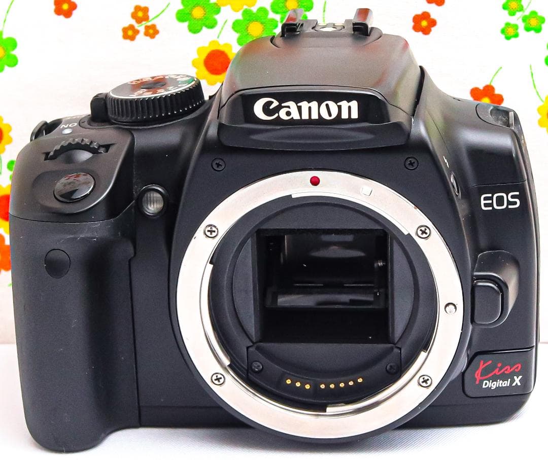 Canon kiss x ☆スマホに転送☆初心者向け一眼レフ☆軽くて簡単