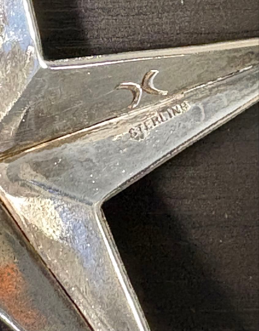 【1月限定値下】シッピークレイジーホース スター ペンダント