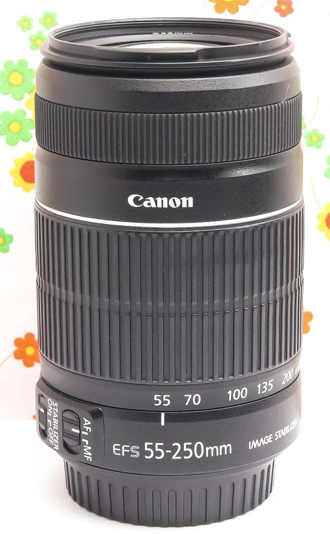Canon EF-S 55-250mm IS II☆グッと引き寄せる望遠レンズ