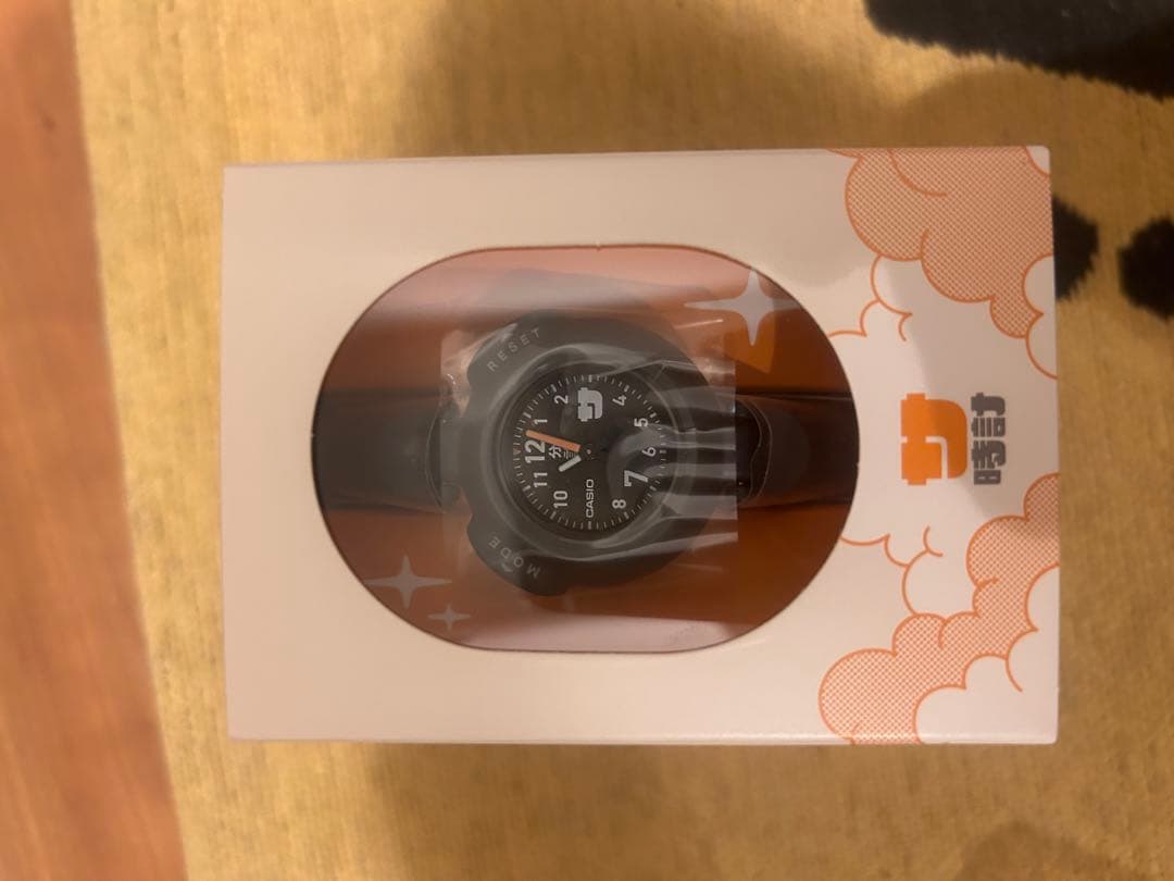 CASIO サ時計 SAN-100H-1BJR ユニセックス ブラック