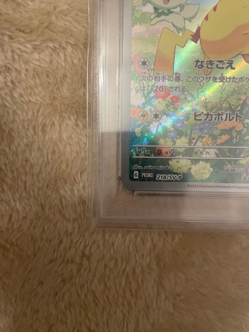 ピカチュウ：ポケカの夏がキタ！psa10