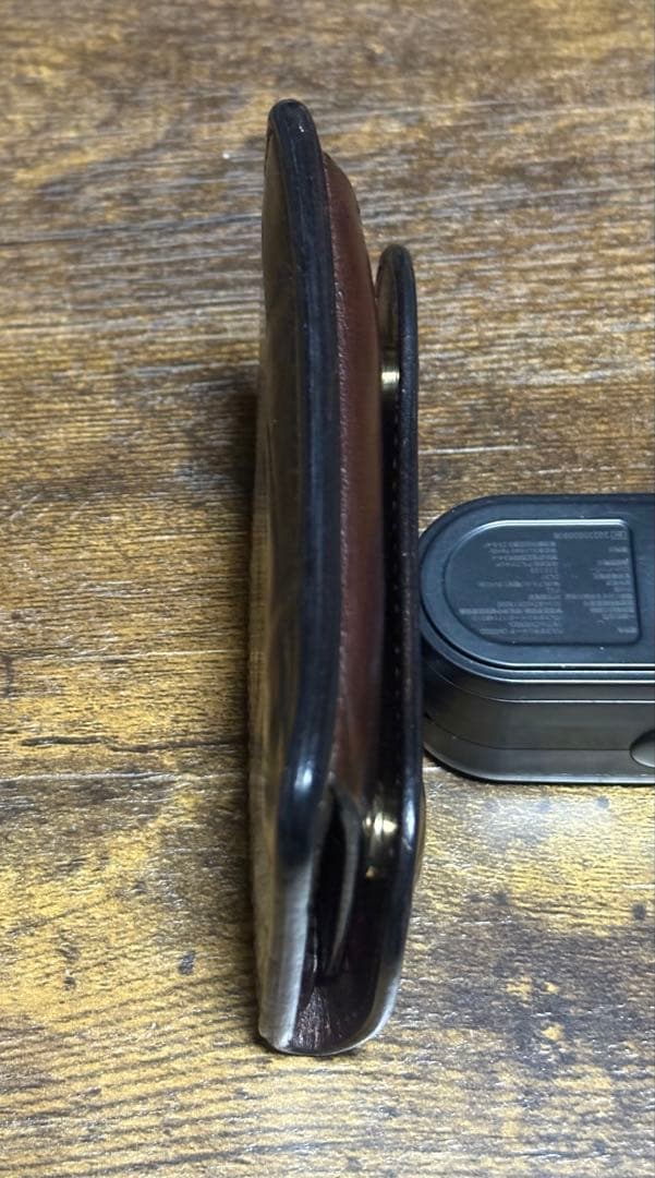 大幅値下げ　WILDSWANS TONGUE CROCODILE CHO