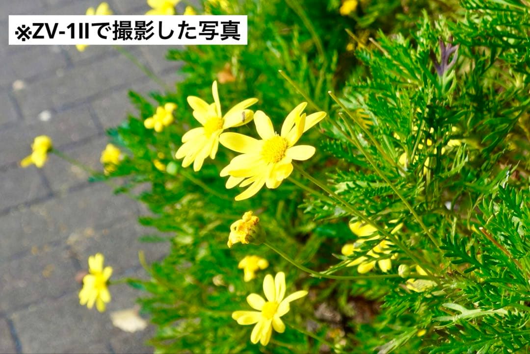 【届いてすぐ使える】SONY ZV-1II VLOGCAMホワイト【美品】