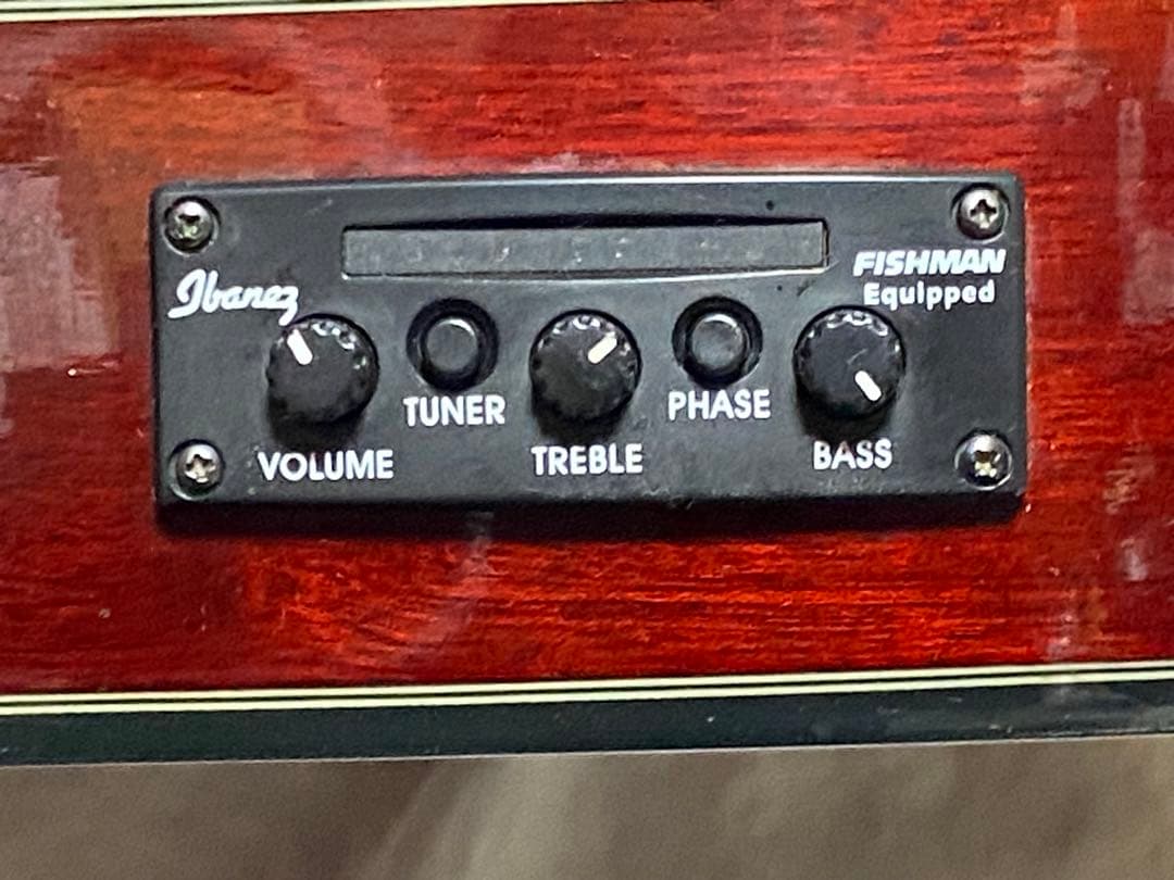 Ibanez エレアコギター　AEC24Ⅱ ソフトケース付美品1948-06-1