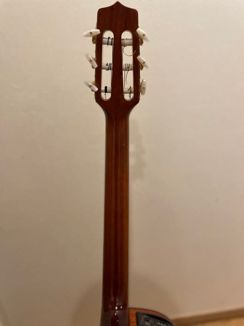 Takamine エレガット　クラシックギター　PTU608n