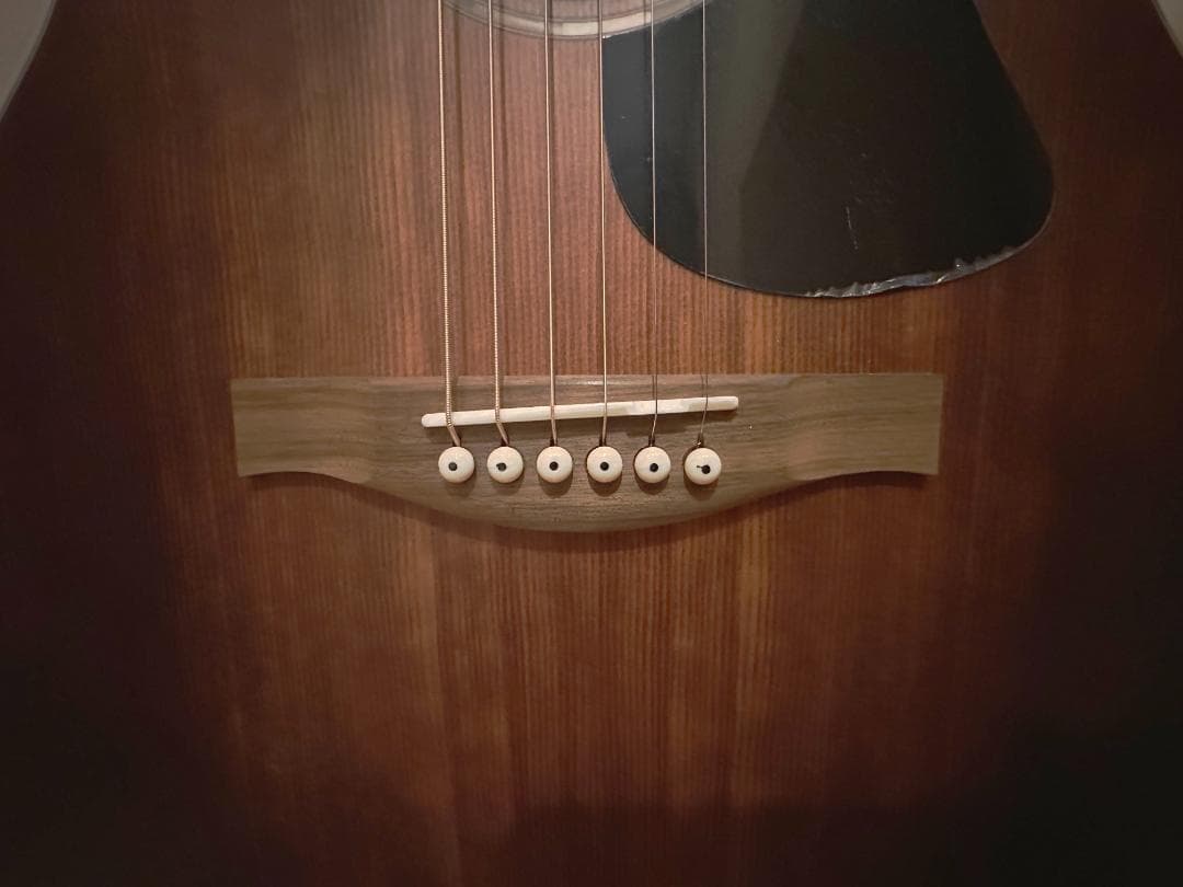 Eastman　PCH1-GACE-CLA　ピックアップ搭載エレアコ　保証あり