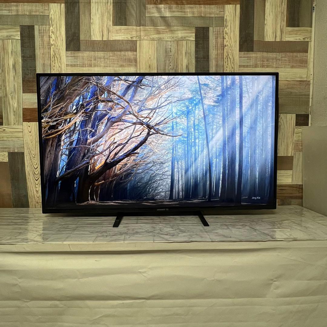 即日受渡❣️全国送料込ジャパンネクスト50型4K液晶モニターブルーライト軽減